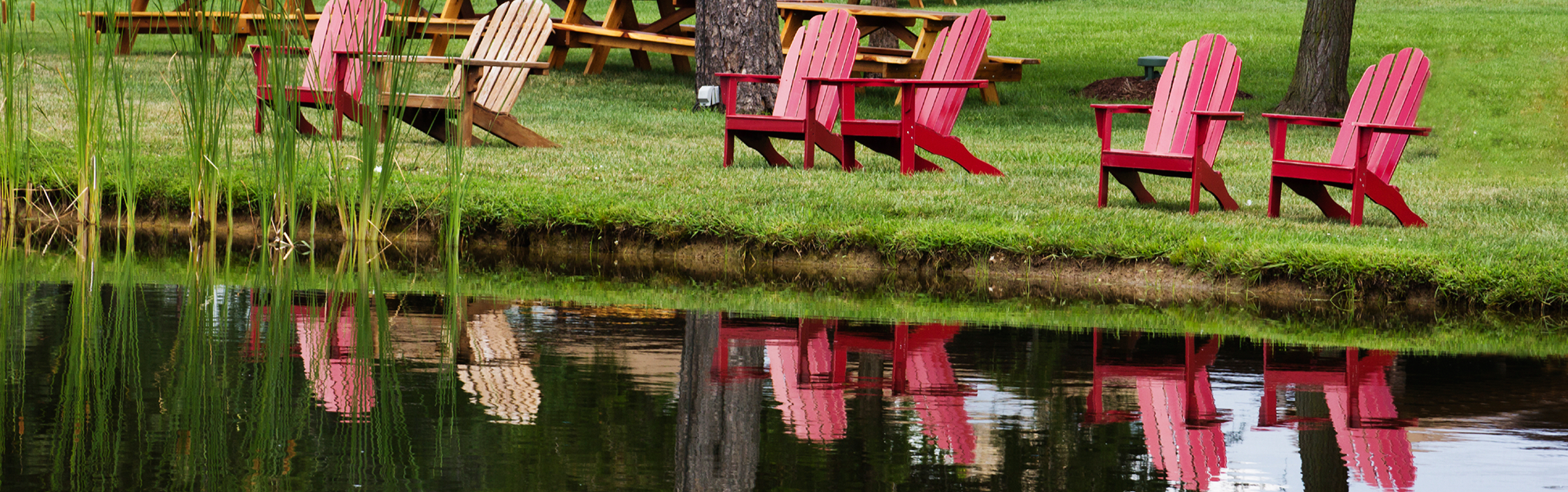 Lake Front Property